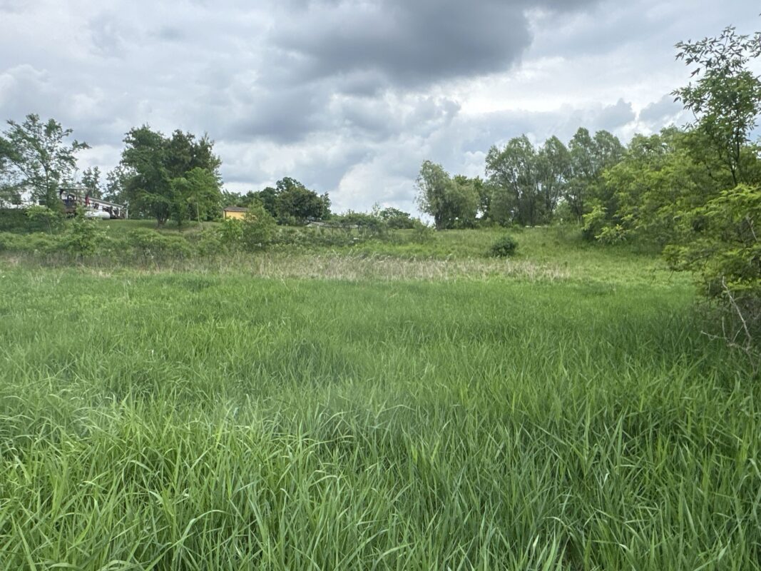 TBD 10 1/2 Avenue, Clayton WI 54004 - Land house for sale - MLS #1602115 - image10
