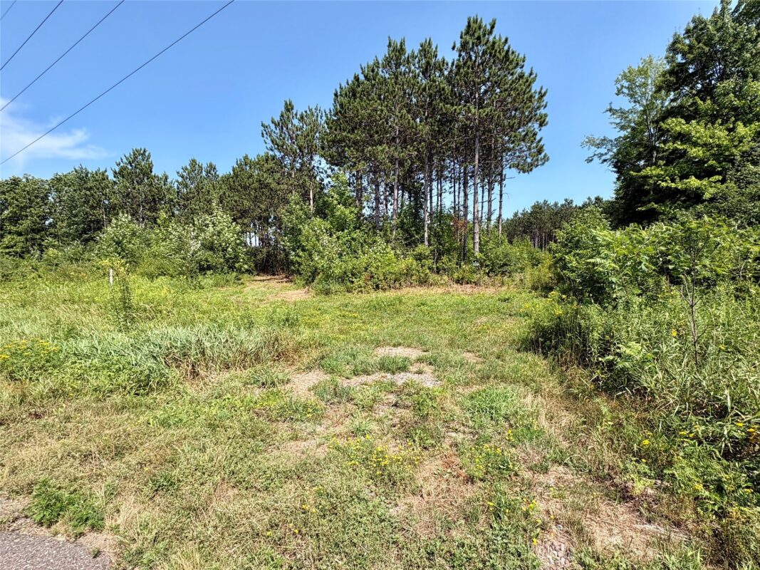 TBD 27th Street, Chetek WI 54728 - Land house for sale - MLS #1604079 - image5