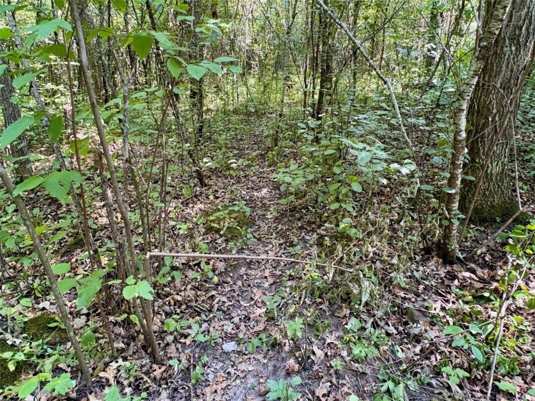 TBD 27th Street, Chetek WI 54728 - Land house for sale - MLS #1604079 - image44
