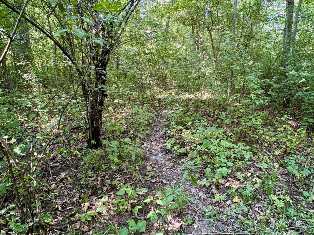 TBD 27th Street, Chetek WI 54728 - Land house for sale - MLS #1604079 - image45