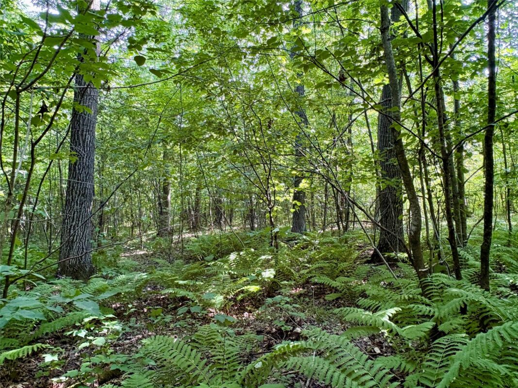TBD 27th Street, Chetek WI 54728 - Land house for sale - MLS #1604079 - image51