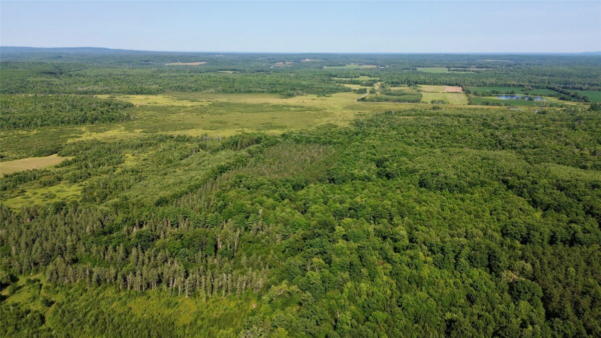 TBD 27th Street, Chetek WI 54728 - Land house for sale - MLS #1604079 - image9