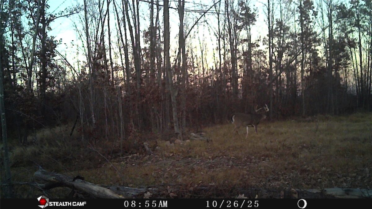 TBD 27th St, Chetek WI 54728 - Land house for sale - MLS #1604079 - image18