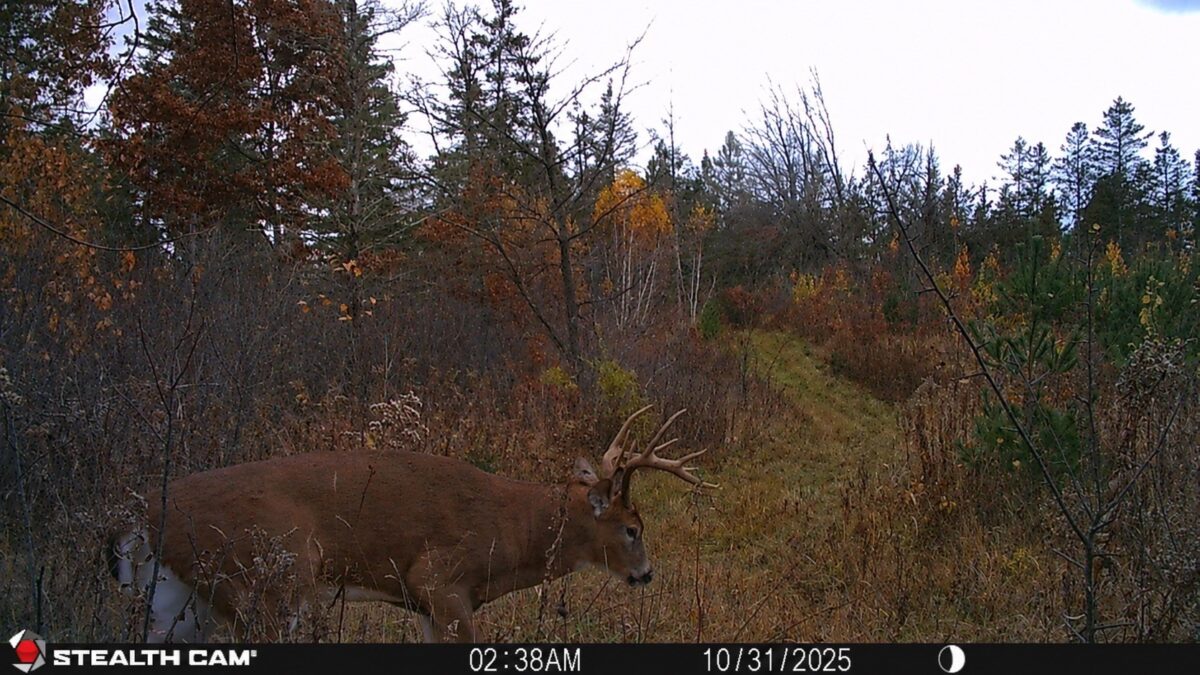 TBD 27th St, Chetek WI 54728 - Land house for sale - MLS #1604079 - image19