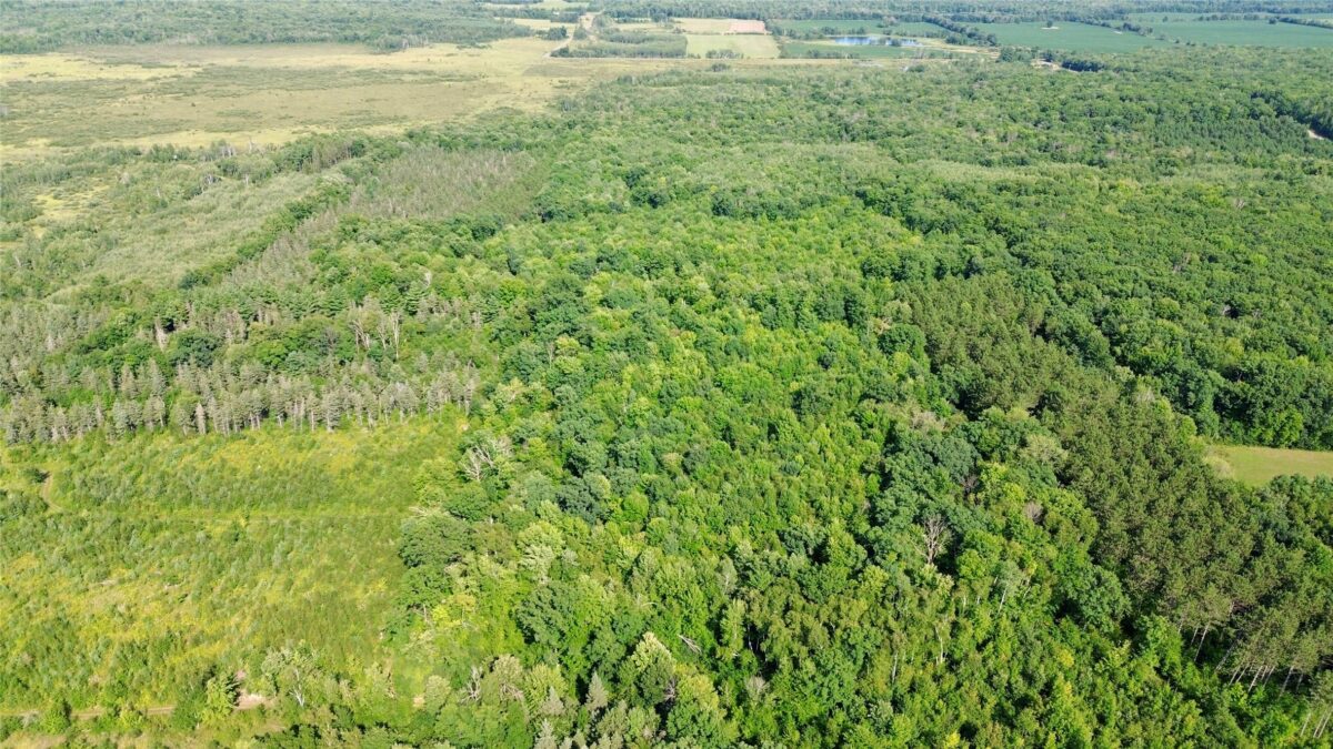 TBD 27th St, Chetek WI 54728 - Land house for sale - MLS #1604079 - image3
