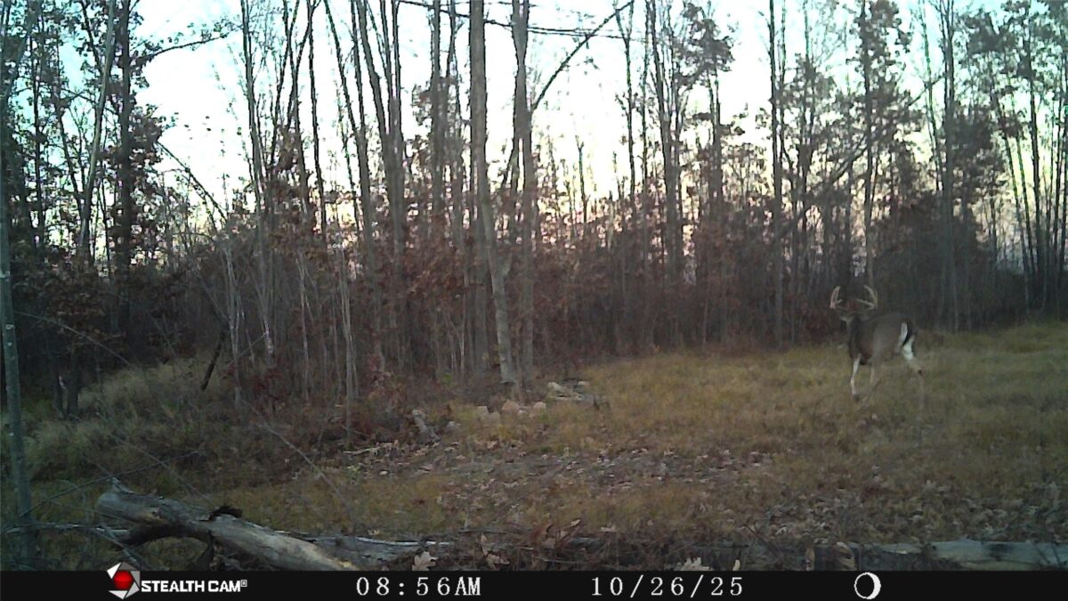 TBD 27th St, Chetek WI 54728 - Land house for sale - MLS #1604079 - image21