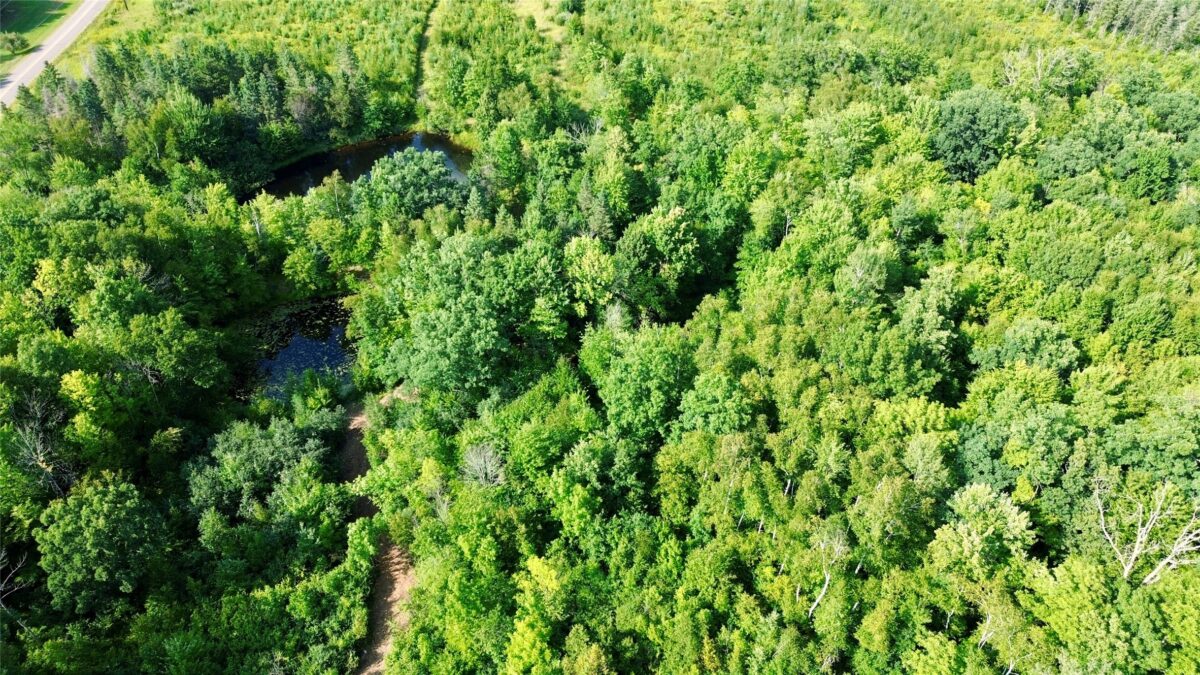 TBD 27th St, Chetek WI 54728 - Land house for sale - MLS #1604079 - image22