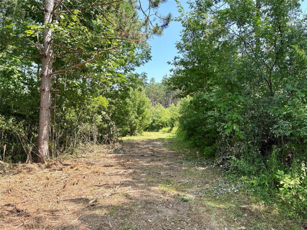 TBD 27th St, Chetek WI 54728 - Land house for sale - MLS #1604079 - image23
