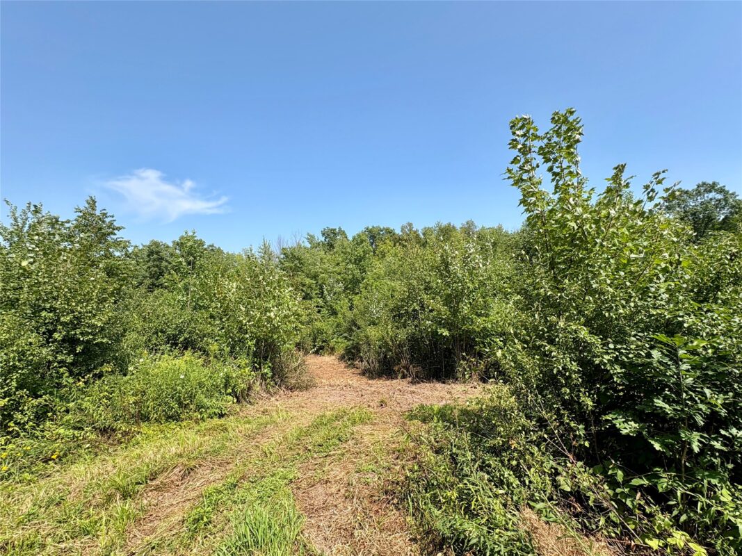 TBD 27th St, Chetek WI 54728 - Land house for sale - MLS #1604079 - image25