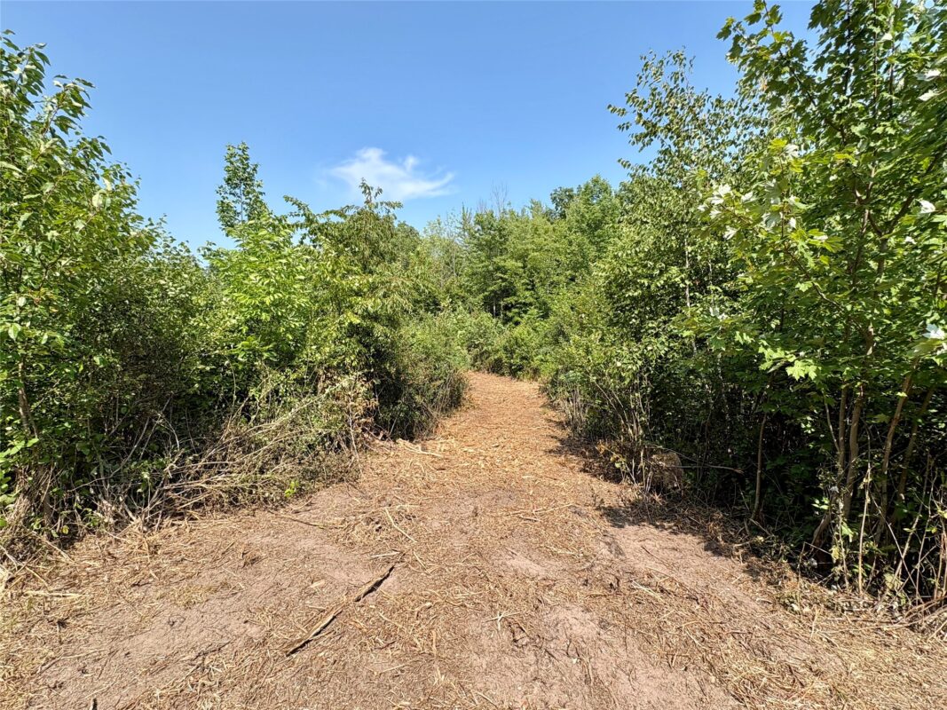 TBD 27th St, Chetek WI 54728 - Land house for sale - MLS #1604079 - image26