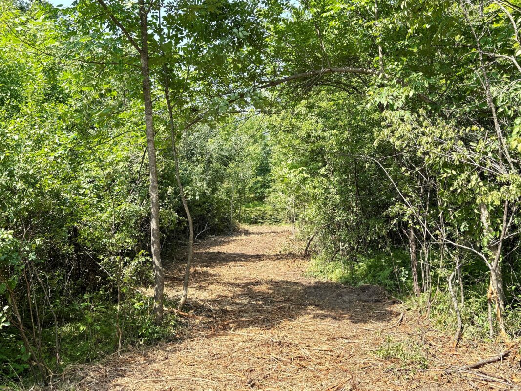 TBD 27th St, Chetek WI 54728 - Land house for sale - MLS #1604079 - image27