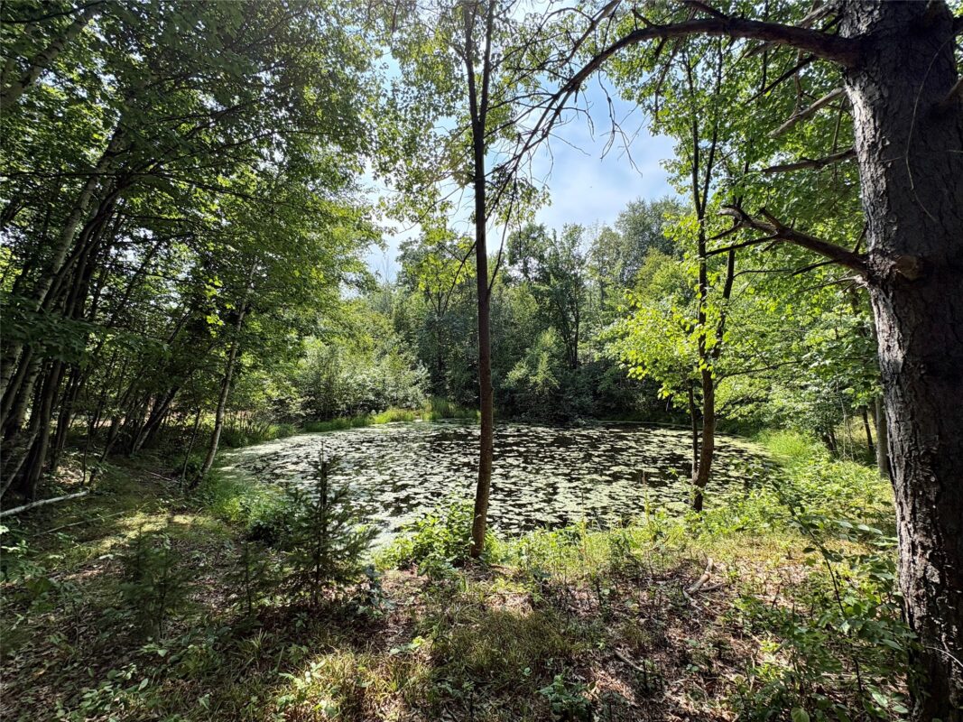 TBD 27th St, Chetek WI 54728 - Land house for sale - MLS #1604079 - image29