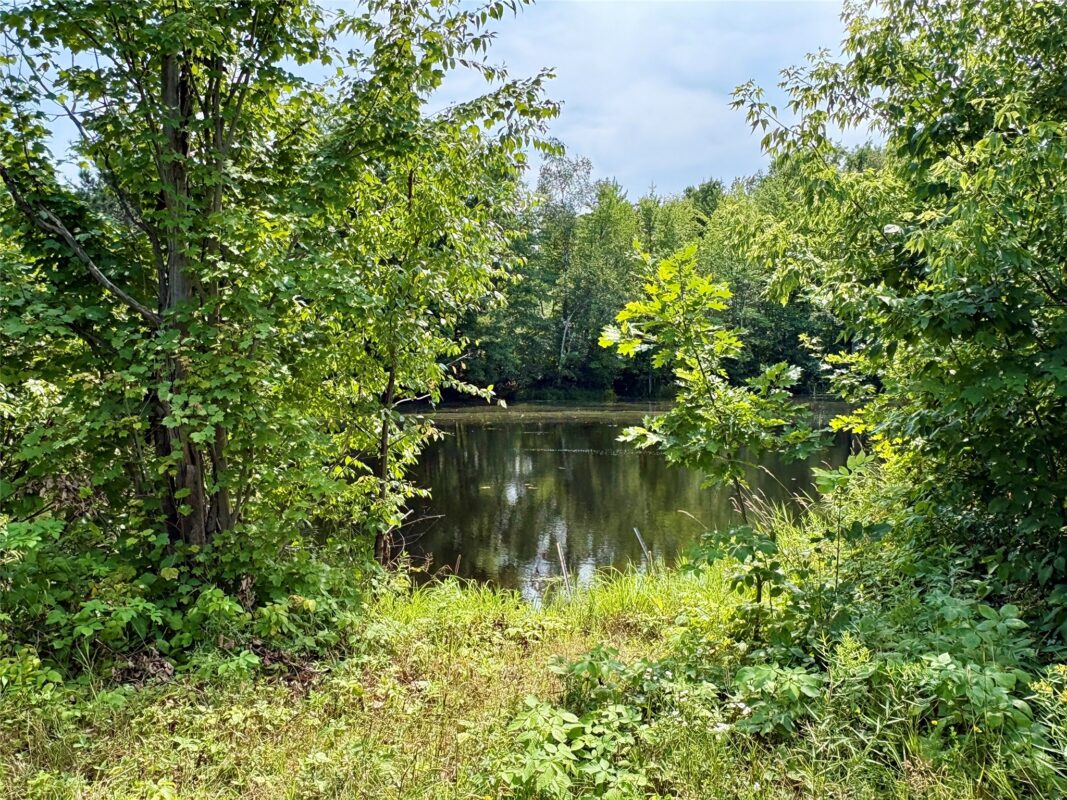 TBD 27th St, Chetek WI 54728 - Land house for sale - MLS #1604079 - image31