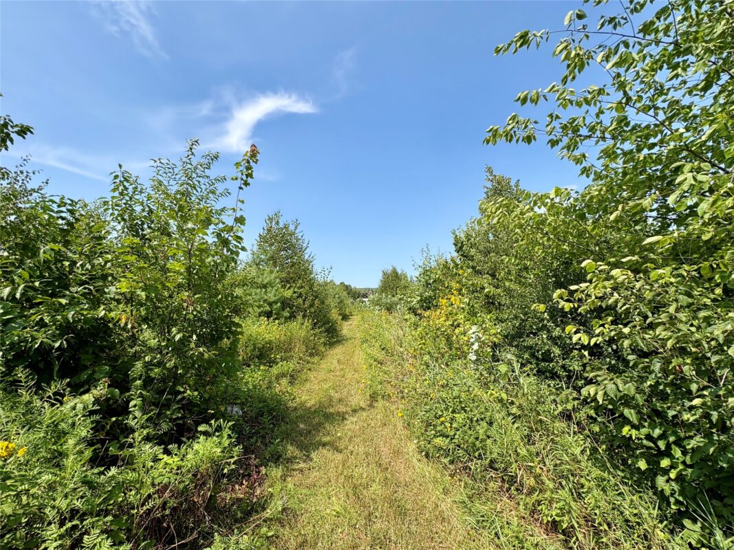 TBD 27th St, Chetek WI 54728 - Land house for sale - MLS #1604079 - image33