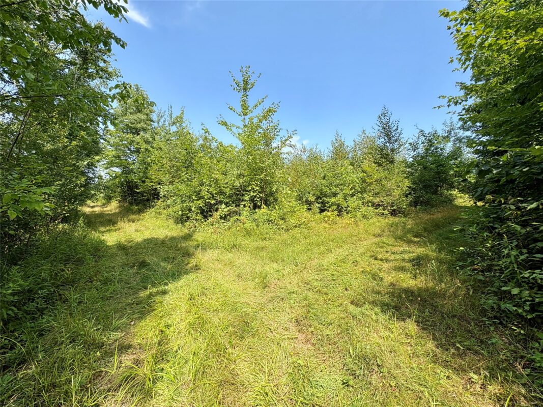 TBD 27th St, Chetek WI 54728 - Land house for sale - MLS #1604079 - image34
