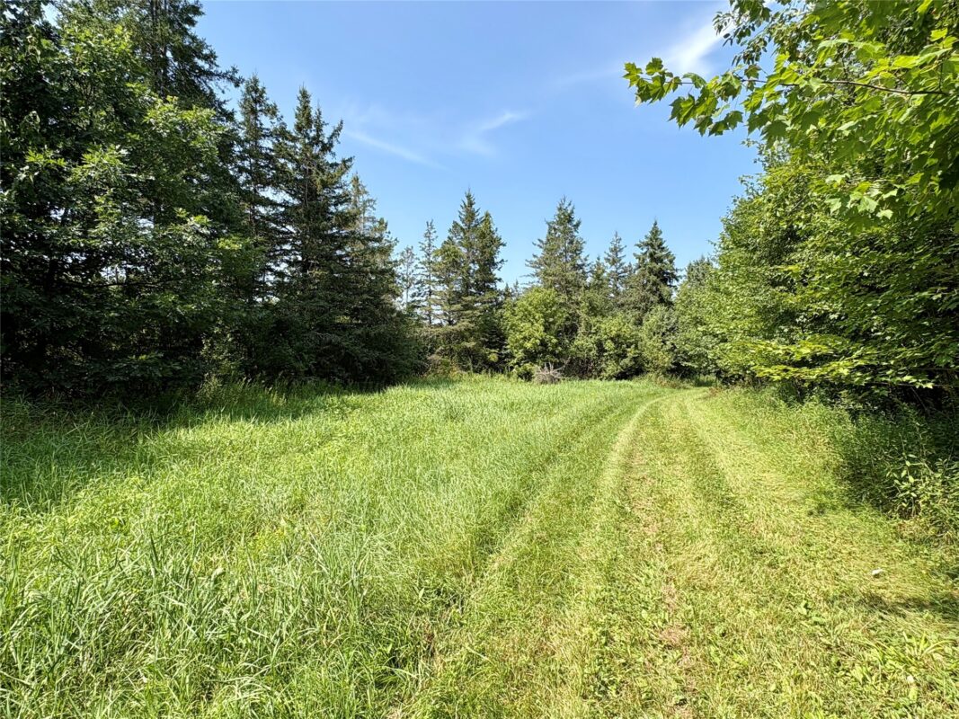 TBD 27th St, Chetek WI 54728 - Land house for sale - MLS #1604079 - image35