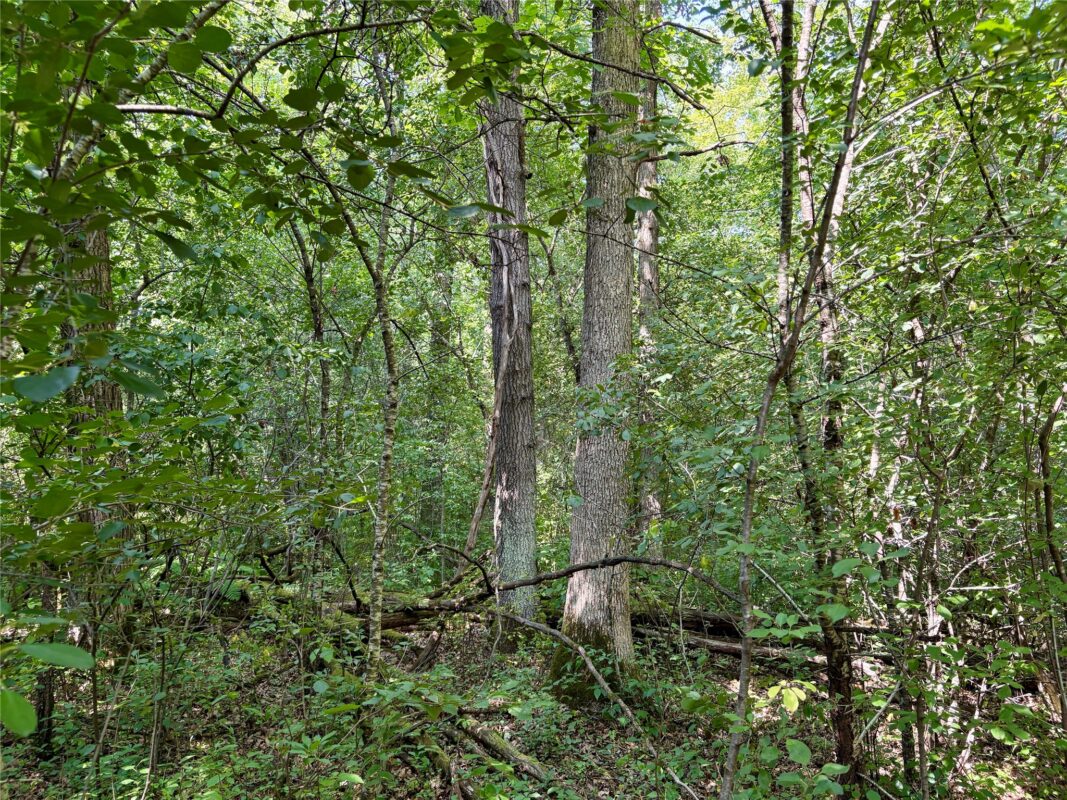 TBD 27th St, Chetek WI 54728 - Land house for sale - MLS #1604079 - image37