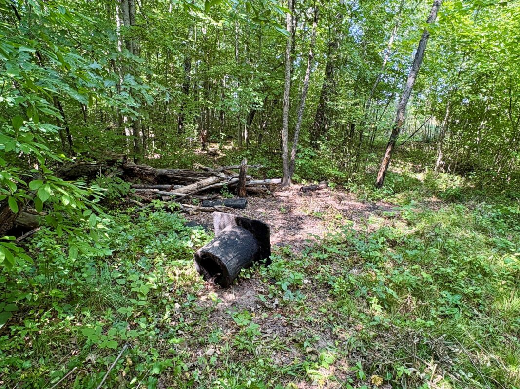 TBD 27th St, Chetek WI 54728 - Land house for sale - MLS #1604079 - image38