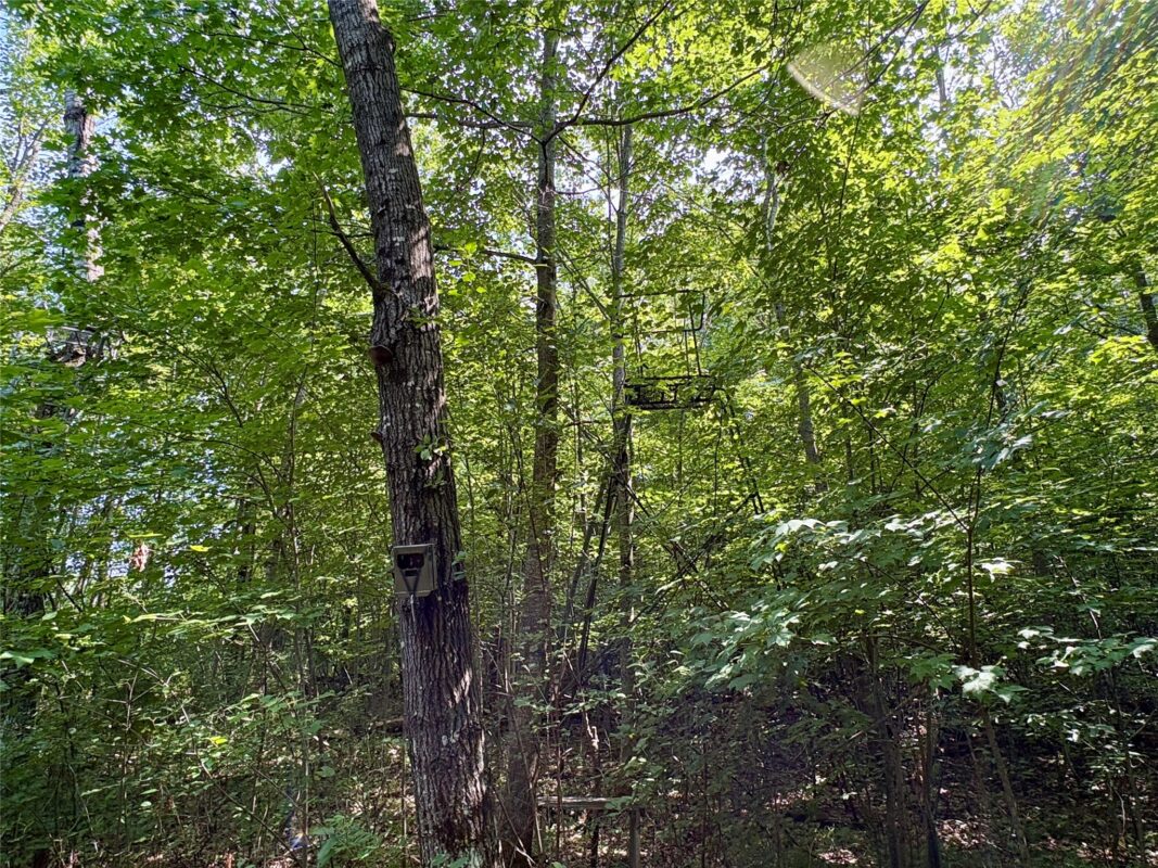 TBD 27th St, Chetek WI 54728 - Land house for sale - MLS #1604079 - image39