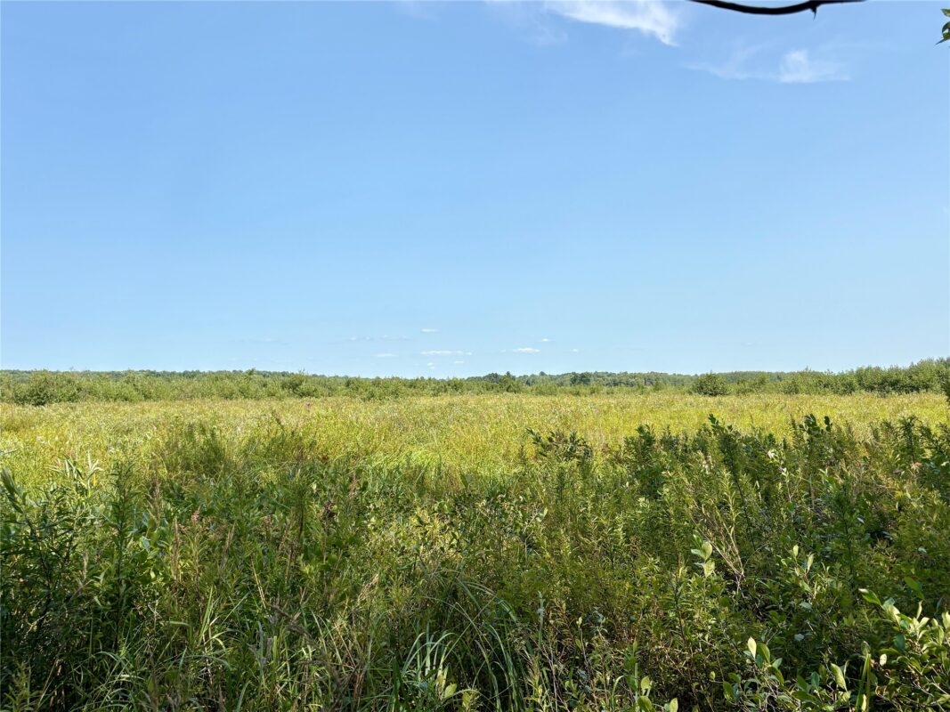 TBD 27th St, Chetek WI 54728 - Land house for sale - MLS #1604079 - image40