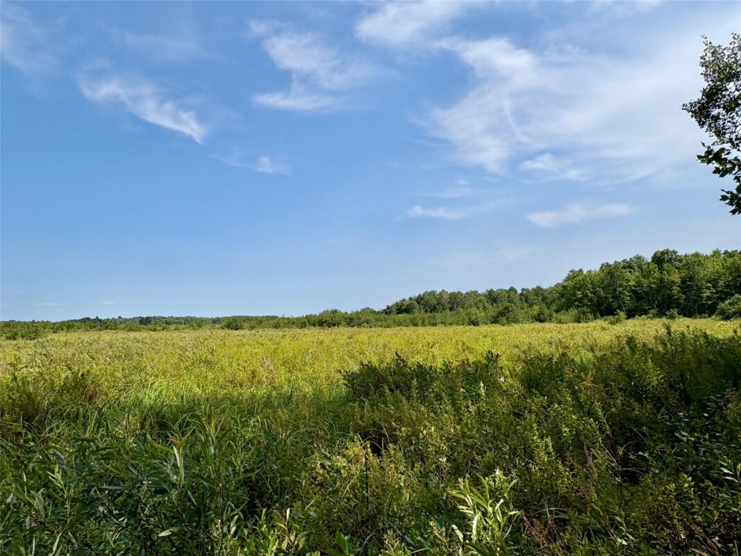 TBD 27th St, Chetek WI 54728 - Land house for sale - MLS #1604079 - image42
