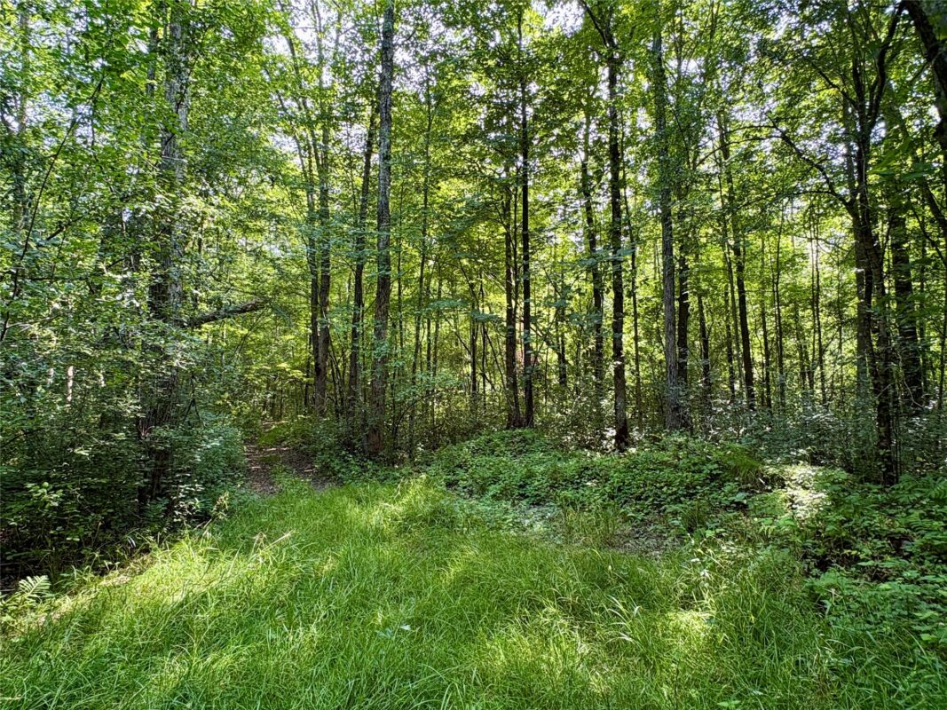 TBD 27th St, Chetek WI 54728 - Land house for sale - MLS #1604079 - image46