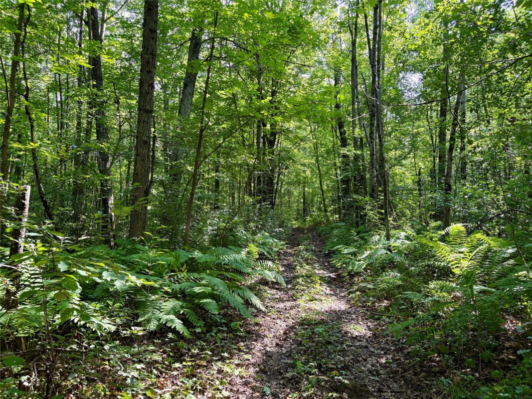 TBD 27th St, Chetek WI 54728 - Land house for sale - MLS #1604079 - image48