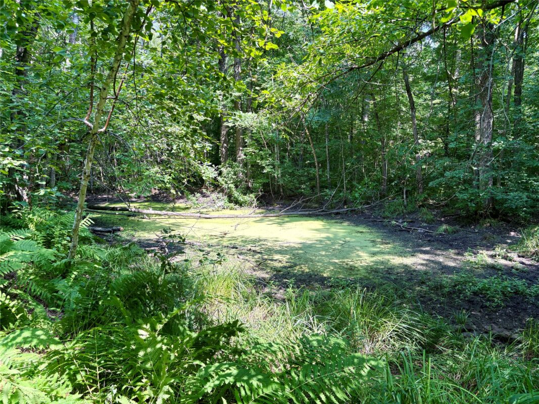 TBD 27th St, Chetek WI 54728 - Land house for sale - MLS #1604079 - image49