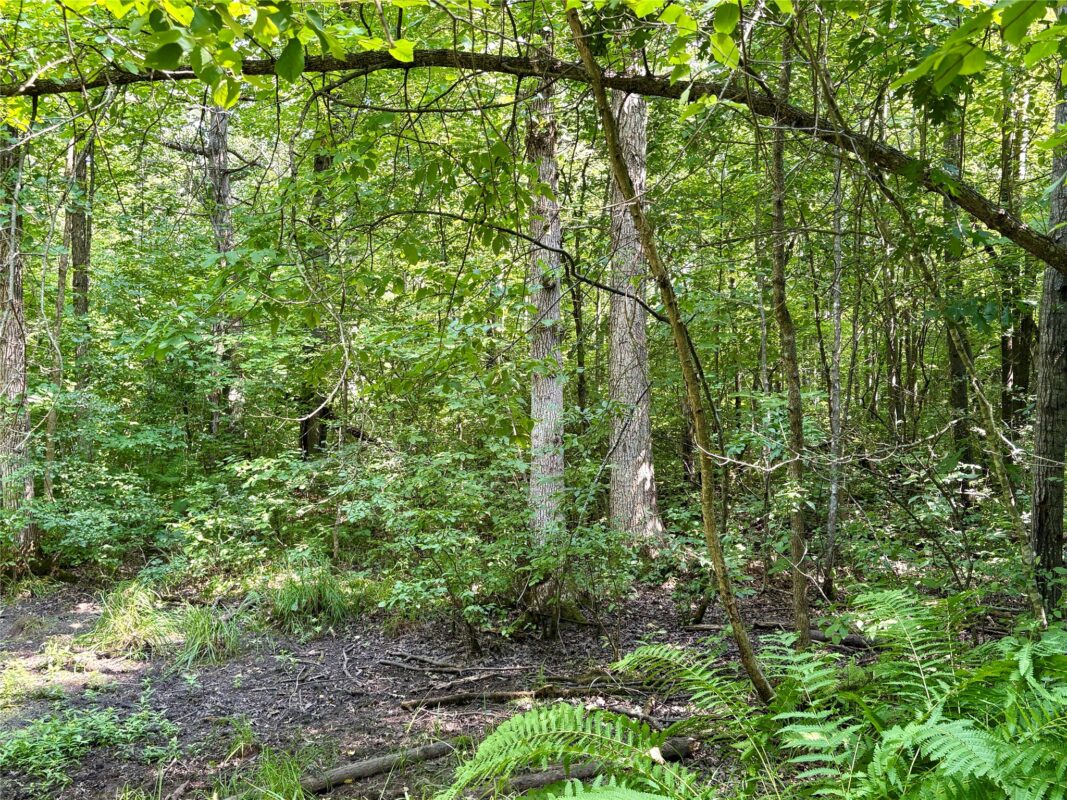 TBD 27th St, Chetek WI 54728 - Land house for sale - MLS #1604079 - image50