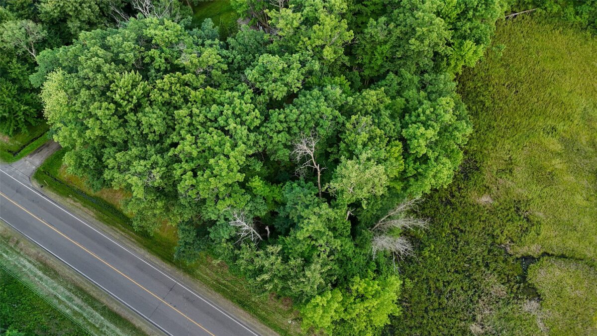 TBD County Road G, Comstock WI 54826 - Land house for sale - MLS #1602554 - image12