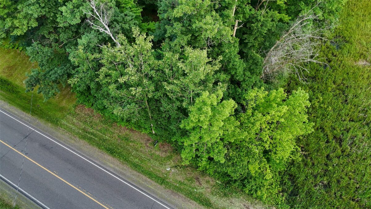 TBD County Road G, Comstock WI 54826 - Land house for sale - MLS #1602554 - image13
