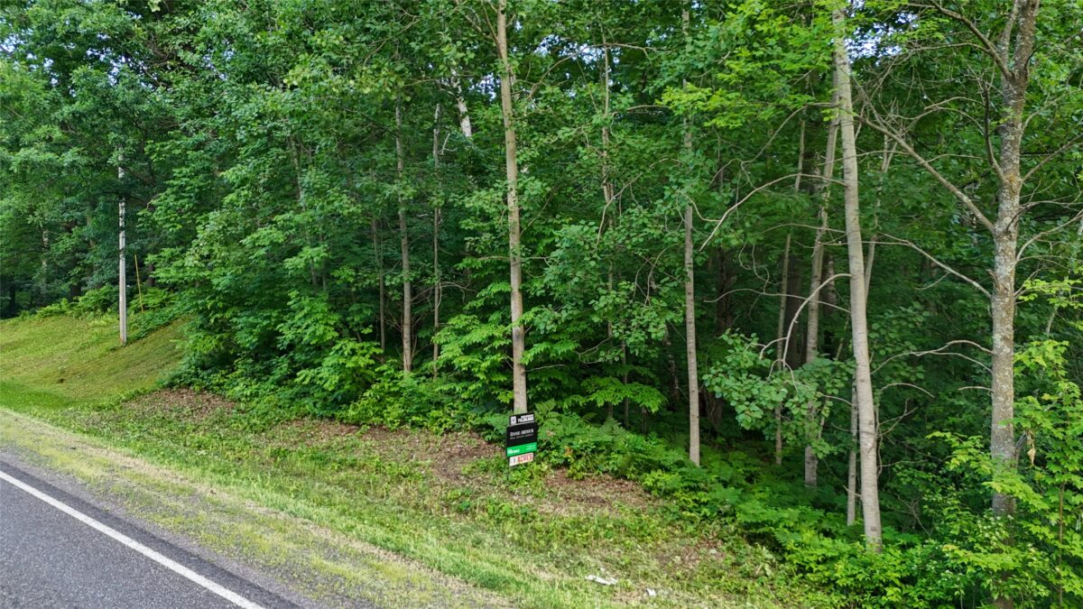 TBD County Road G, Comstock WI 54826 - Land house for sale - MLS #1602554 - image14