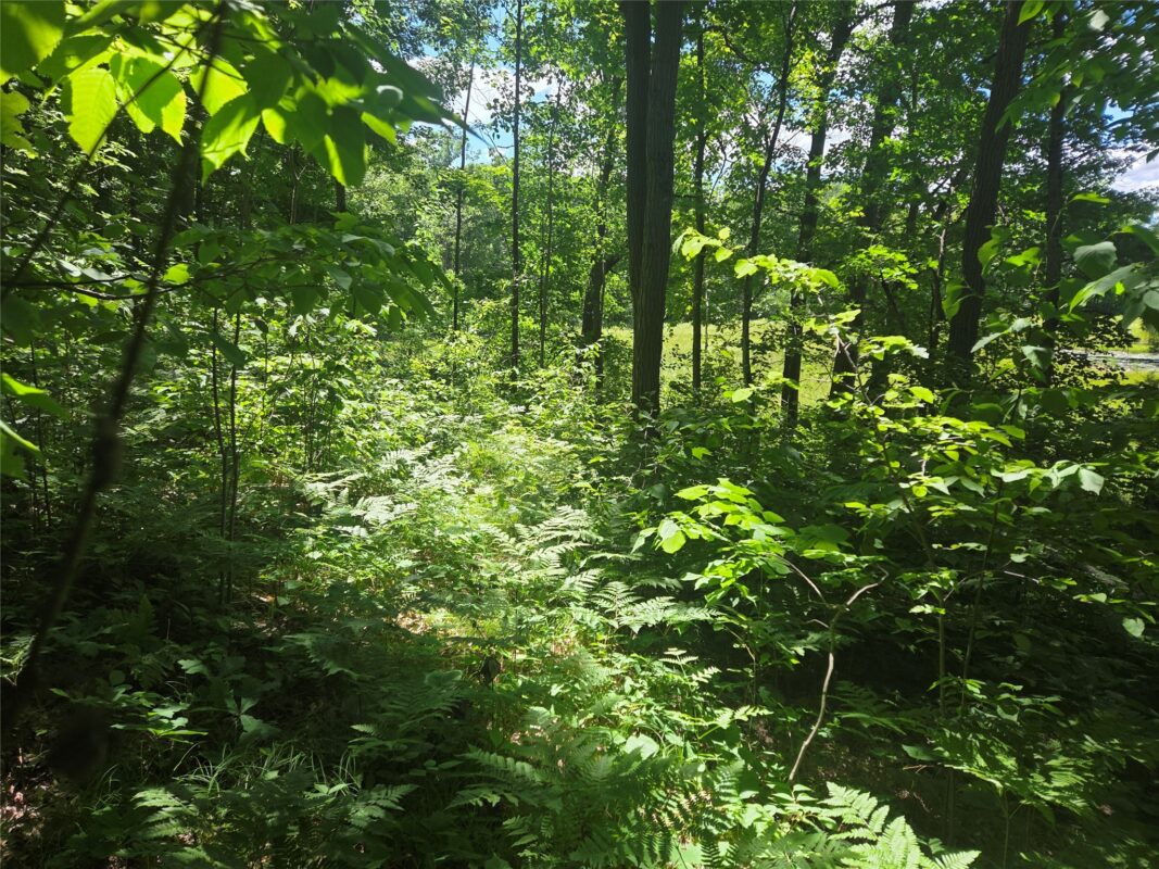 TBD County Road G, Comstock WI 54826 - Land house for sale - MLS #1602554 - image3