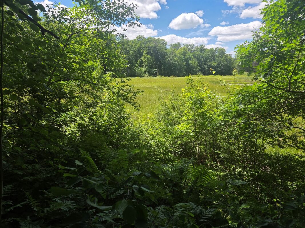 TBD County Road G, Comstock WI 54826 - Land house for sale - MLS #1602554 - image4