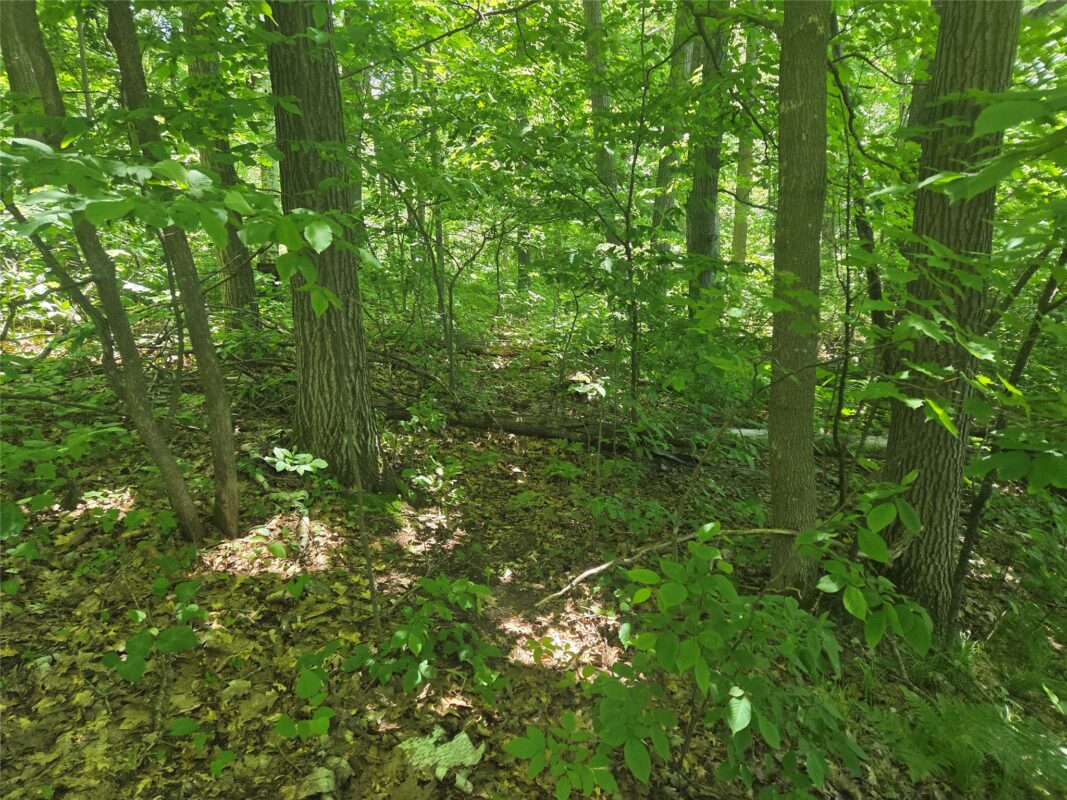 TBD County Road G, Comstock WI 54826 - Land house for sale - MLS #1602554 - image5