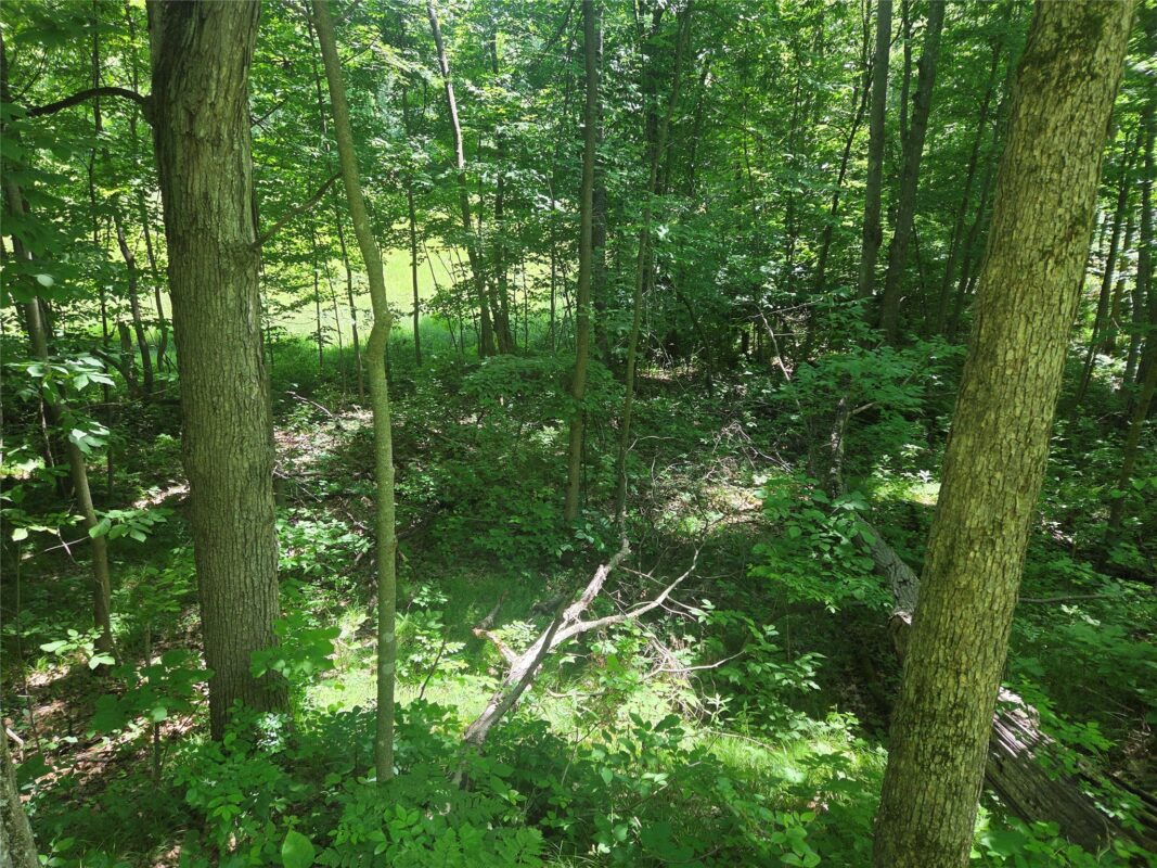 TBD County Road G, Comstock WI 54826 - Land house for sale - MLS #1602554 - image8