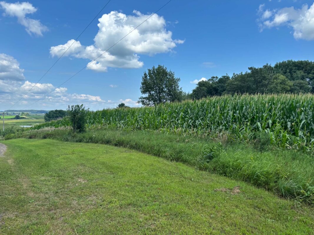 Vacant Land 420th Ave, Menomonie WI 54751 - Land house for sale - MLS #1603810 - image2