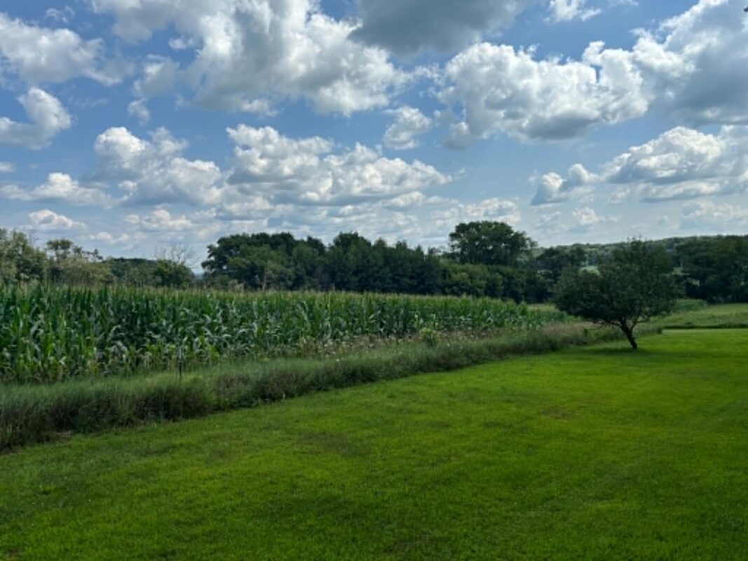 Vacant Land 420th Ave, Menomonie WI 54751 - Land house for sale - MLS #1603810 - image5