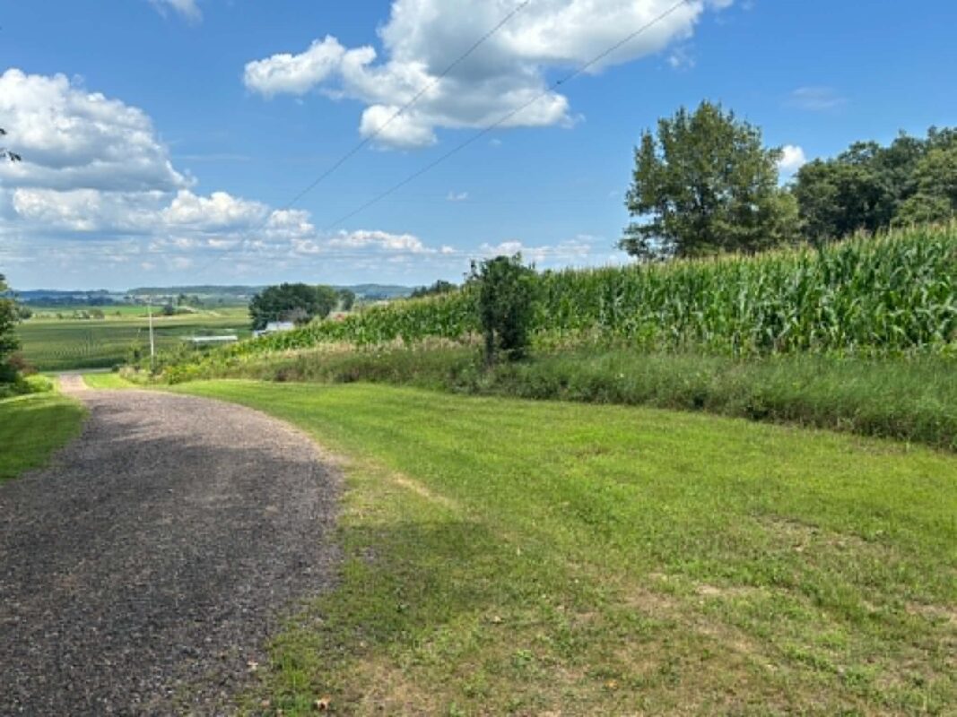 Vacant Land 420th Ave, Menomonie WI 54751 - Land house for sale - MLS #1603810 - image6