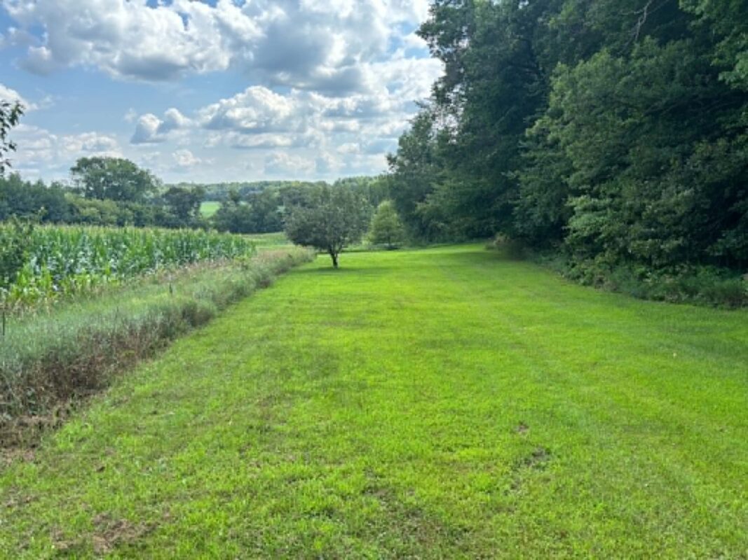 Vacant Land 420th Avenue, Menomonie WI 54751 - Land house for sale - MLS #1603810 - image4