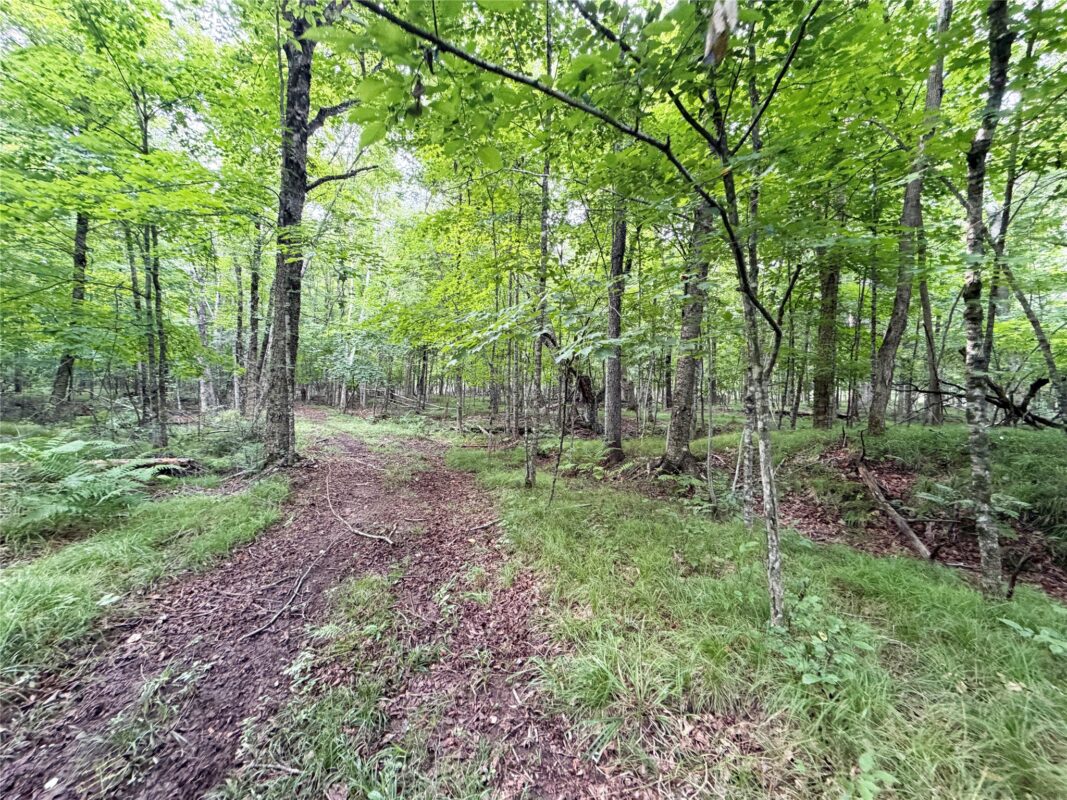 W13159 Sieck Road, Bruce WI 54819 - Residential house for sale - MLS #1603889 - image37