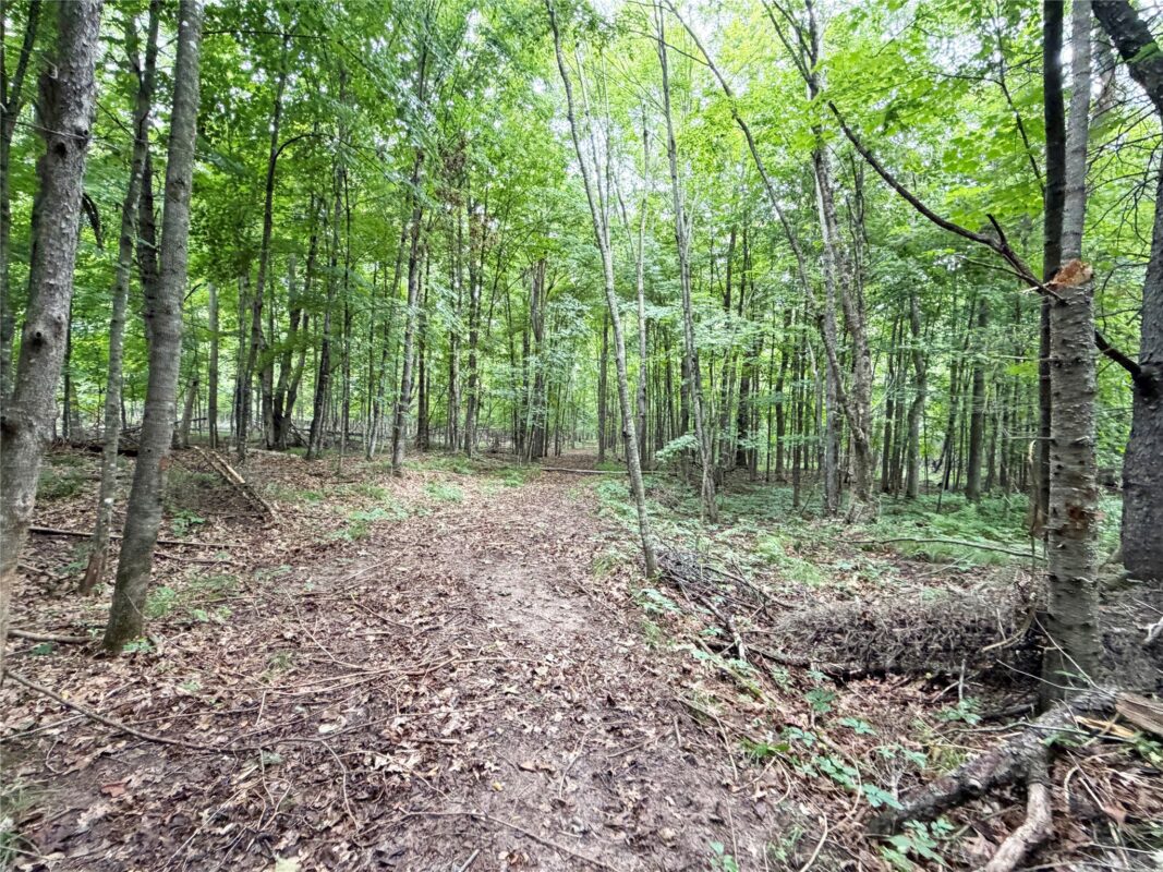 W13159 Sieck Road, Bruce WI 54819 - Residential house for sale - MLS #1603889 - image38