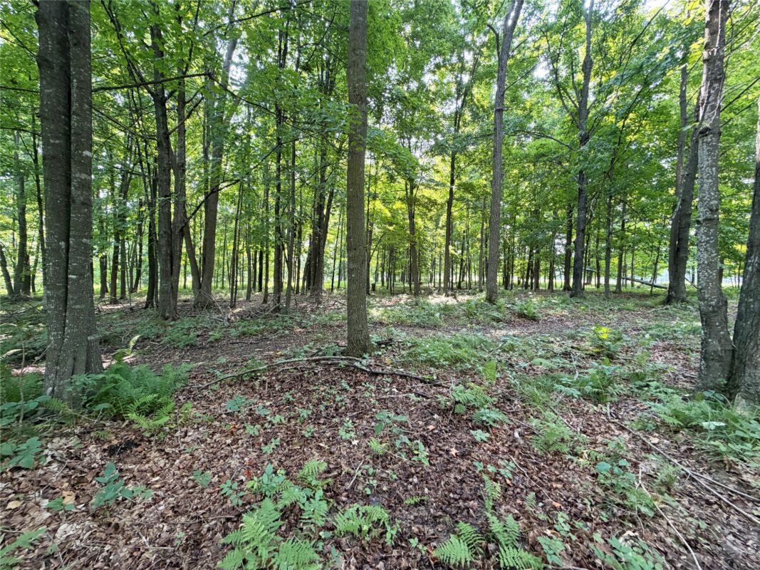 W13159 Sieck Road, Bruce WI 54819 - Residential house for sale - MLS #1603889 - image39