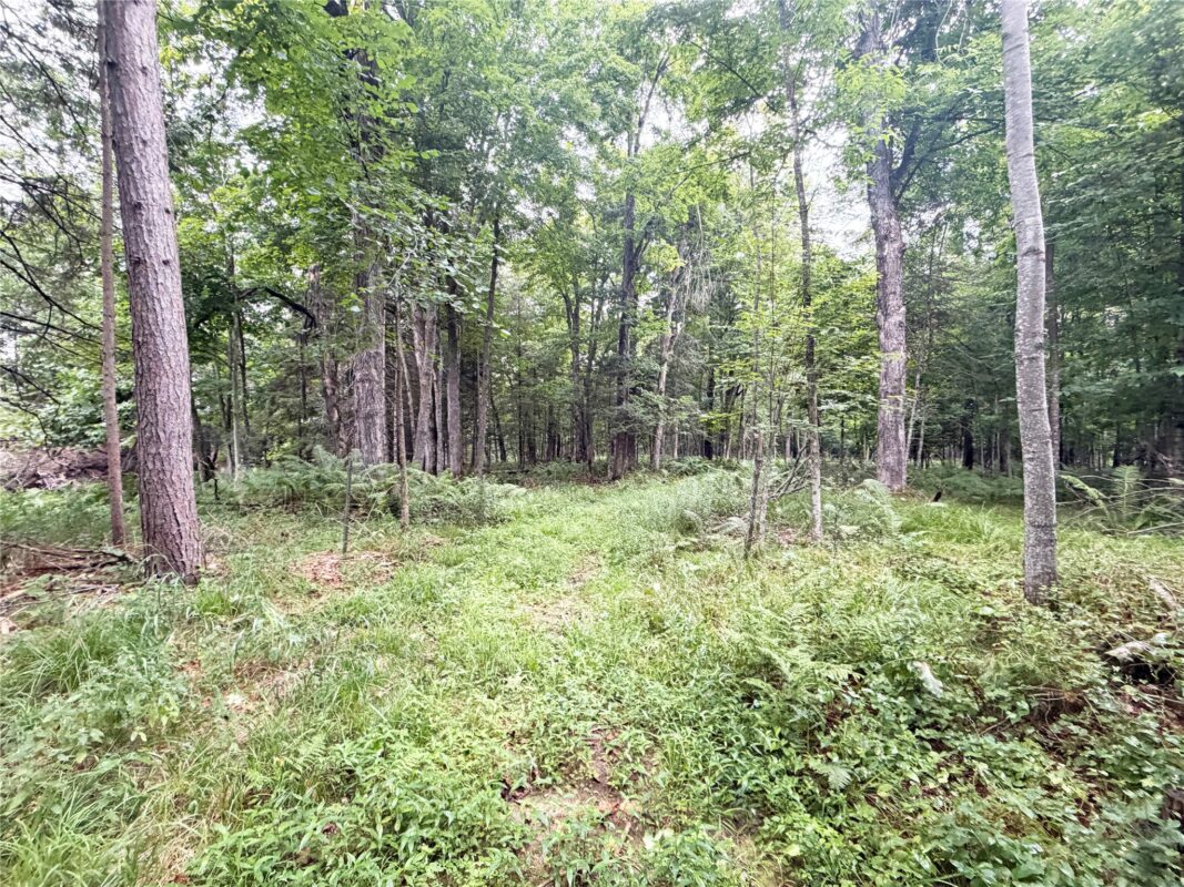 W13159 Sieck Road, Bruce WI 54819 - Residential house for sale - MLS #1603889 - image42