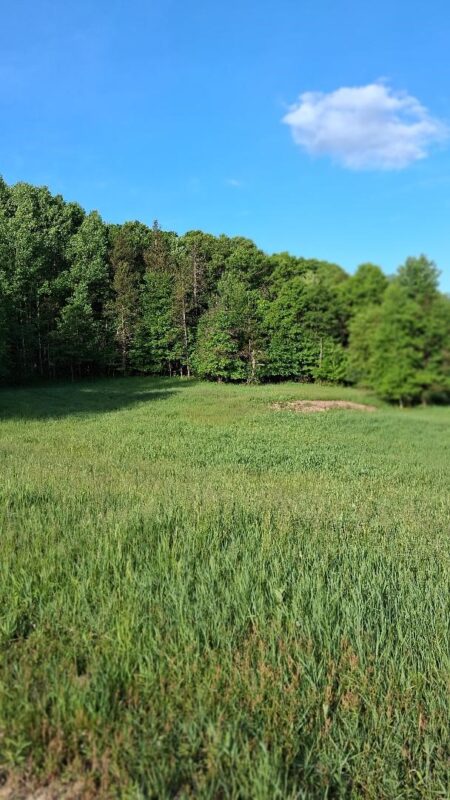 W14006 County Road B, Fairchild WI 54741 - Land house for sale - MLS #1601905 - image2