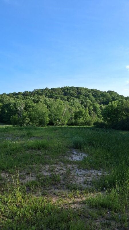 W14006 County Road B, Fairchild WI 54741 - Land house for sale - MLS #1601905 - image12