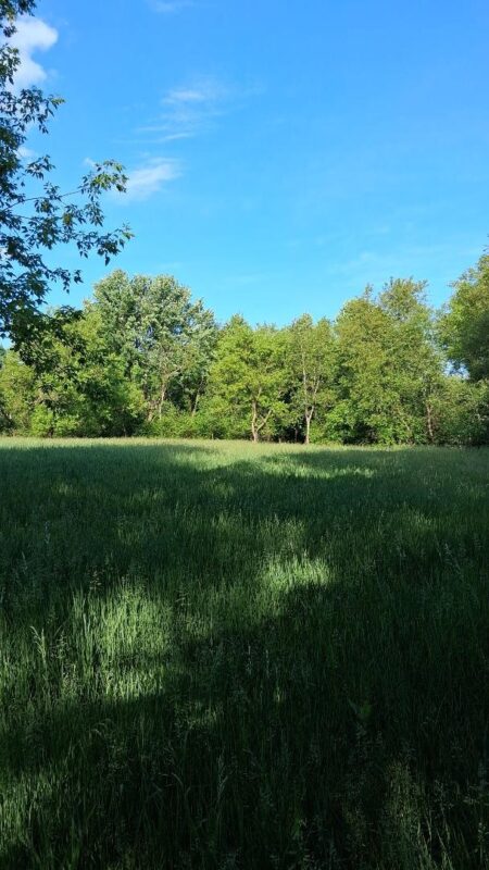 W14006 County Road B, Fairchild WI 54741 - Land house for sale - MLS #1601905 - image13