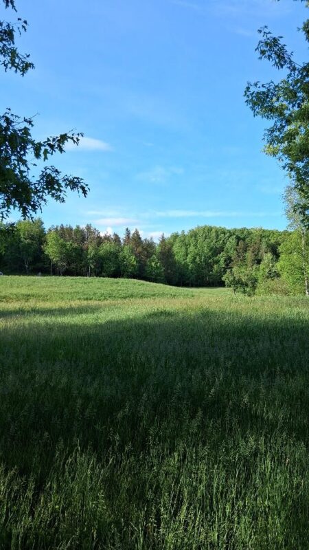 W14006 County Road B, Fairchild WI 54741 - Land house for sale - MLS #1601905 - image14