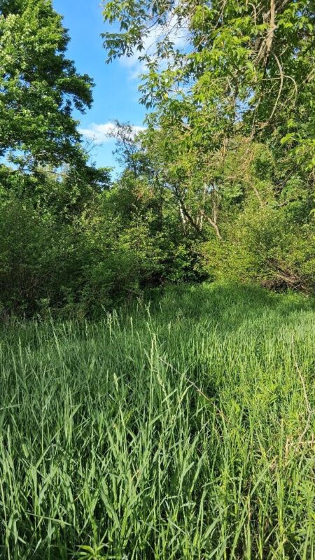W14006 County Road B, Fairchild WI 54741 - Land house for sale - MLS #1601905 - image16