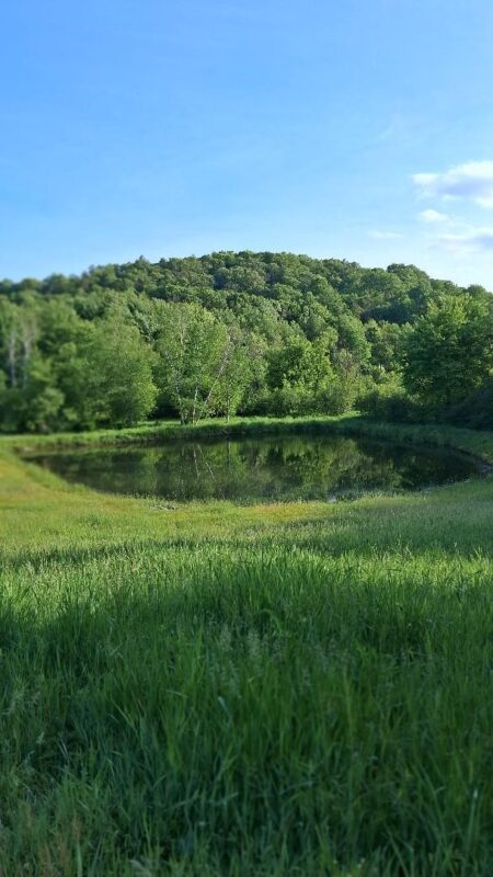 W14006 County Road B, Fairchild WI 54741 - Land house for sale - MLS #1601905 - image3